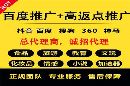 百度搜索结果优化：SEO推广的经典案例